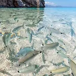Barisardo Sb * Bari Sardo