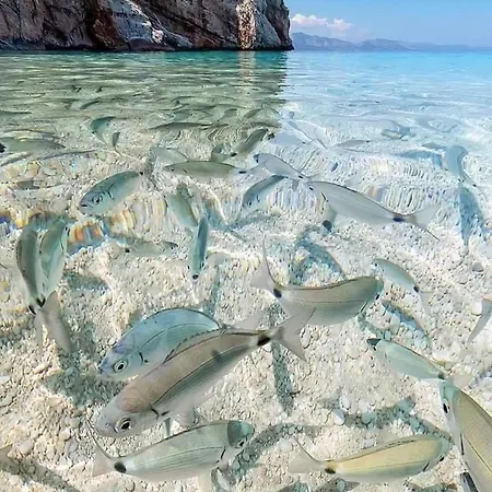 Barisardo Sb * Bari Sardo